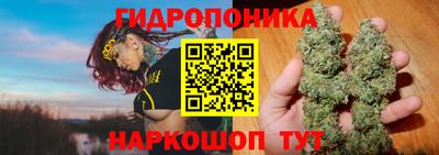 стаф Малгобек