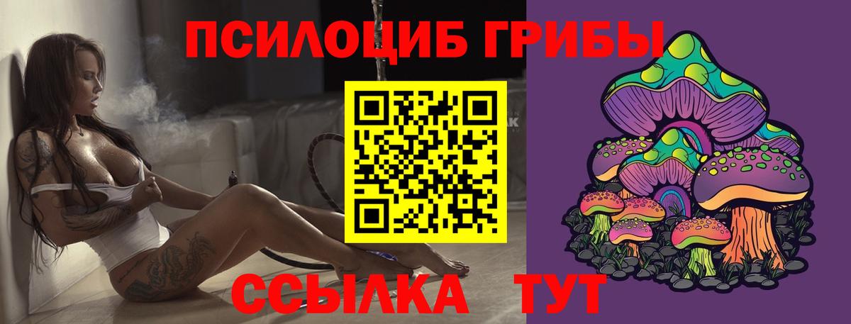 Галлюциногенные грибы Cubensis  купить закладку  Вход с VPN  Каменск-Шахтинский  Галлюциногенные грибы GOLDEN TEACHER 