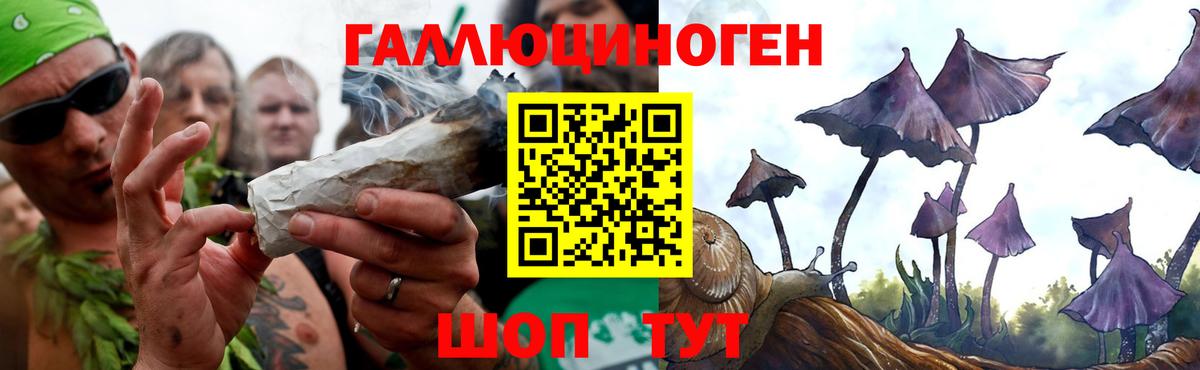 Псилоцибиновые грибы мухоморы Каменск-Шахтинский